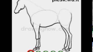 Kaip nupiesti arkli How to draw a horse [upl. by Ilojna195]