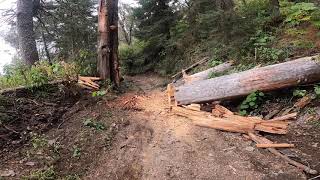 MTB Nevado de colima Floripondio P4 [upl. by Bonacci288]