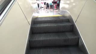 Montgomery Escalators at JCPenney in Acadiana Mall in Lafayette LA [upl. by Kathe]