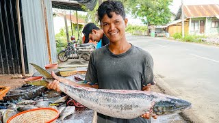 AMAZING FISH CUTTING SKILLS  SUNGLIR Fish Cutting MASTERY at 16 Years Old [upl. by Nodnarg]