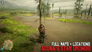 Red Dead Redemption 2  ALL 10 Acunas Star Orchids Locations amp Maps COMPLETE  RDR2 [upl. by Issiah16]