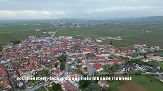 🍾CHAMPAGNE DRONE VIDEO Ambonnay Grand Cru🍾 in the Montagne de Reims wine region wine france [upl. by Oeflein]