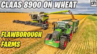 CLAAS 8900 LEXION COMBINE HARVESTER WORKING IN WHEAT harvest2024 [upl. by Snodgrass837]