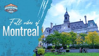 Unveiling Montreal Top MustSee Attractions amp Hidden Gems [upl. by Almeida408]