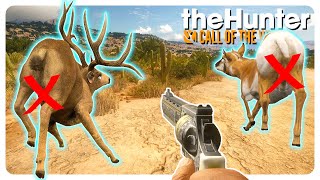 No 🍒 Were Harmed in the Making of This Video I Promise  theHunter Call of the Wild [upl. by Neram936]