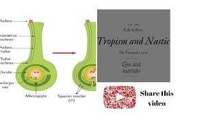 TROPISM AND NASTIC MOVEMENT FULLY EXPLAINED IN TAMIL [upl. by Assiroc421]