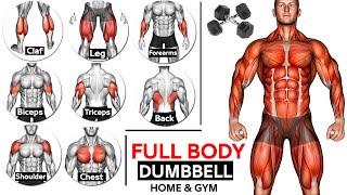 Full Body HOME Dumbbell WORKOUT squats chest triceps biceps  back shoulder wrist Calves [upl. by Sigfrid956]