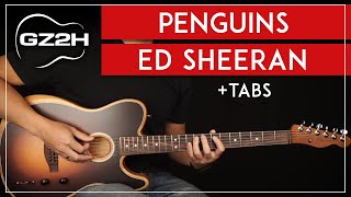 Penguins Guitar Tutorial Ed Sheeran Guitar Lesson Fingerpicking  TAB [upl. by Mills]