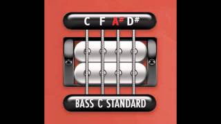 Perfect Guitar Tuner Bass C Standard  C F A D [upl. by Noirod]