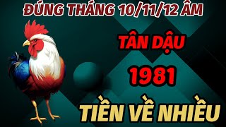 MAY MẮN BÙNG NỔ ĐÚNG THÁNG 101112 ÂM LỊCH TUỔI TÂN DẬU SINH 1981 TIỀN CỦA ĐỔ VỀ CHẤT CAO NHƯ NÚI [upl. by Amandy720]