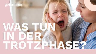 Trotzphase 3 Verhaltensregeln für Eltern bei einem akuten Trotzanfall [upl. by Yezdnil]