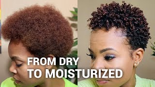 Styling my DRY natural hair  wash and go [upl. by Ennaimaj172]