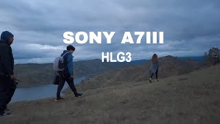 Cinematic Video  Sony A7III HLG3 [upl. by Sivia628]