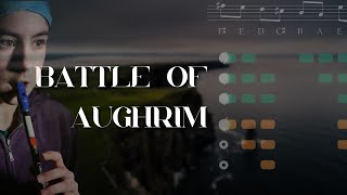 Battle of Aughrim  TUTORIAL  Tin Whistle [upl. by Hanako]