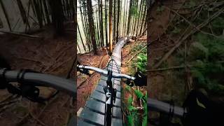 Wooden section 🌲 North Shore Trail  Semmering Bike Park 🇦🇹 mtb [upl. by Namsaj465]