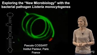 Pascale Cossart Institut Pasteur Part 2 Exploring quotNew Microbiologyquot with Listeria monocytogenes [upl. by Amr]