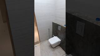 Aquant Rimless WallHung Toilet with InBuilt Jetsorts plumbing [upl. by Polky521]