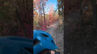 Lou Lou’s first trail ride ebike fall mtb stayc kids [upl. by Lleynad519]