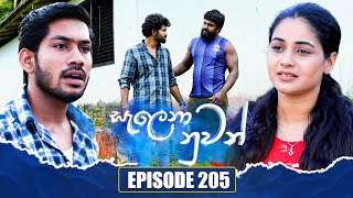 Salena Nuwan සැලෙනා නුවන්  Episode 205  17th November 2024 [upl. by Caldera]