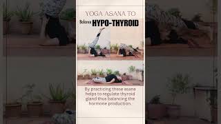 Yogasana to Balance HypoThyroid [upl. by Haroldson]