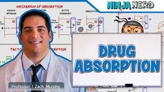 Pharmacokinetics  Drug Absorption [upl. by Orat]