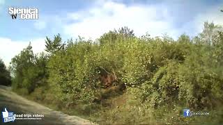 ROAD TRIP driving through Serbian villages Pesterska visoravan  Pester [upl. by Koby]