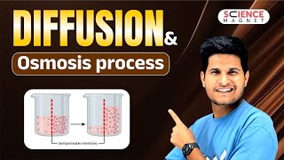 Diffusion and Osmosis process explained neerajsir sciencemagnet [upl. by Econah]