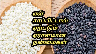 Ellu benefits Tamil  Ellu benefits in tamil  ellu benefits  Tamil Samayal Madurai  health tips [upl. by Scheck549]