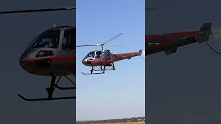 Ever seen an Enstrom helicopter rare flyby helipilot short shortvideo [upl. by Eiznil]