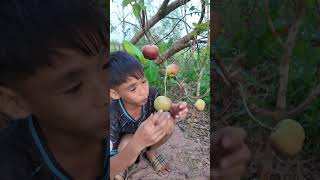 Ăn táo có nhiều nước  Eating apples has a lot of water shorts [upl. by Ayekram]