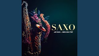 Saxo feat Mdu aka TRP [upl. by Cirillo834]