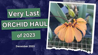 Very Last Orchid HaulDec2023 [upl. by Merce787]