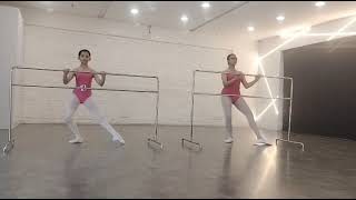 IARB Ballet exams 2024  Grade 3  Ballet India [upl. by Eanod]