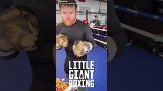 SCARY CANELO POV BLASTING THE MITTS LIKE A BEAST [upl. by Lavine]