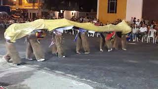 ballet folklórico en manglaralto [upl. by Albertina46]