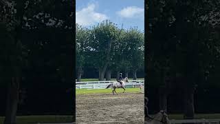 Show hunters version of a jump off turn 😭😂 [upl. by Ideih]