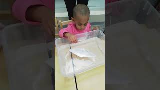 Exploring the World of Land Air and Water Transportation shorts childcare daycare montessori [upl. by Rollet]