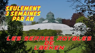 Les serres royales de Laeken un lieu à ne pas manquer sous aucun prétexte [upl. by Macdonell]