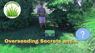 How to Dethatch and Overseed with Sun Joe [upl. by Terhune996]