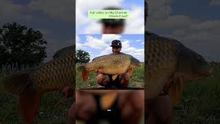 Berners HallBCAC Biggest Fish 34LB fishing carpfishingangling carper [upl. by Leatrice]