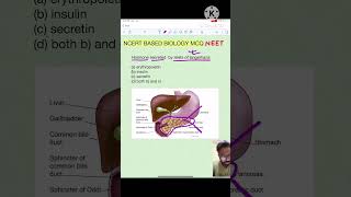 Ans3 islets of Langerhans  NCERT Biology MCQ neet biology medical neetmotivation mbbs doctor [upl. by Akihsan]