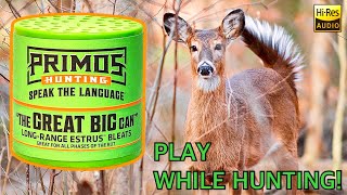 Sound Only Primo’s “Great Big Can” Estrus Doe Bleats LongRange Play While Hunting [upl. by Ecirahs854]