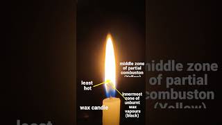 Structure of a Candle Flame science shortvideos [upl. by Cranford]