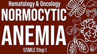 Normocytic Anemia Basics HemeOnc  USMLE Step 1 [upl. by Sansone]