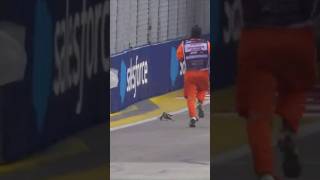 Lizard on the Track in FP3 of F1 Singapore Grand Prix [upl. by Ziana526]