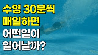 매일 30분 수영하면 몸에서 일어나는 변화 5가지 [upl. by Ahseeyt]