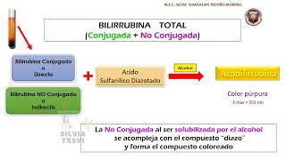 DETERMINACIÓN DE BILIRRUBINA SÉRICA [upl. by Ainaled]