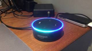 Alexa Propagation Report [upl. by Gnohc]