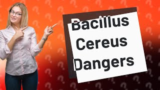 What happens if Bacillus cereus is left untreated [upl. by Teirrah]