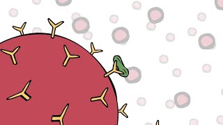 Benefits of Invitrogen ProcartaPlex multiplex immunoassays for the Luminex platform [upl. by Irita789]